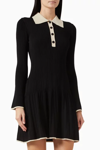 Sabine Pike Mini Dress in Knit