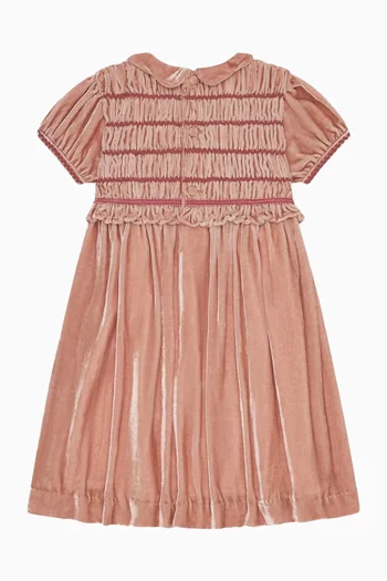 Lurdes Dress in Velvet