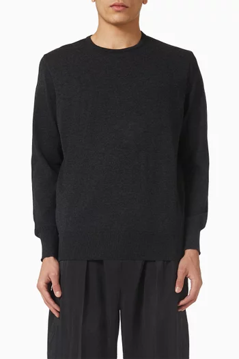 Crew Neck Sweater in Wool