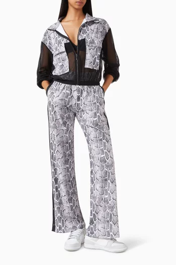 جاكيت ايلوجن