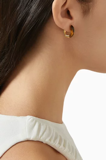 Locus Solus Tiger Eye Earrings in 18kt Gold Vermeil