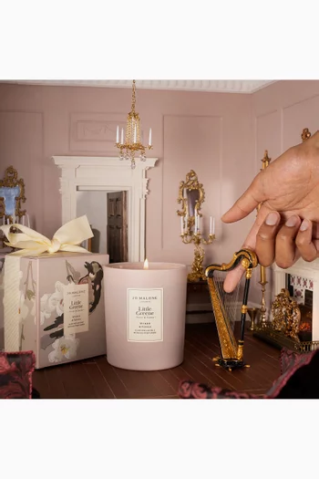 x Little Greene Special Edition Myrrh & Tonka Scented Candle, 200g