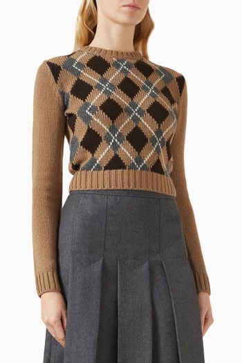 Crewneck Sweater in Cashmere