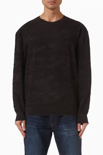Crewneck Sweater in Cotton