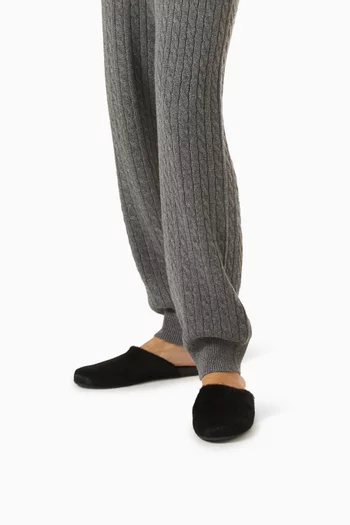 The Slipper in Pony Hair