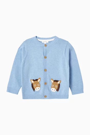 كارديغان دونكي فيستا فريندز