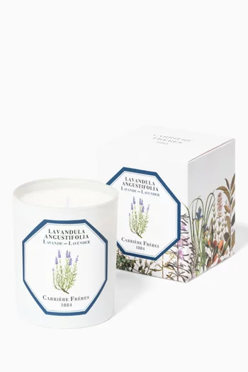 شمعة معطرة لافاندولا أنجستيفوليا، 185 غرام