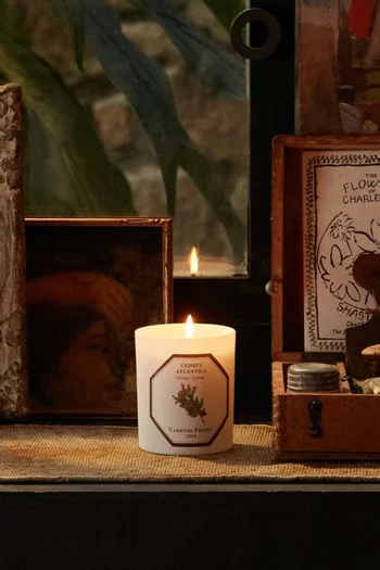 شمعة معطرة سيدراس اتلانتيكا، 185 غرام