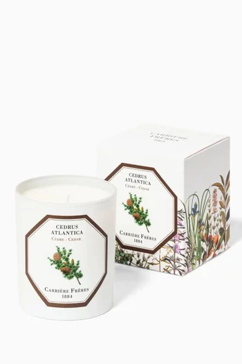 شمعة معطرة سيدراس اتلانتيكا، 185 غرام