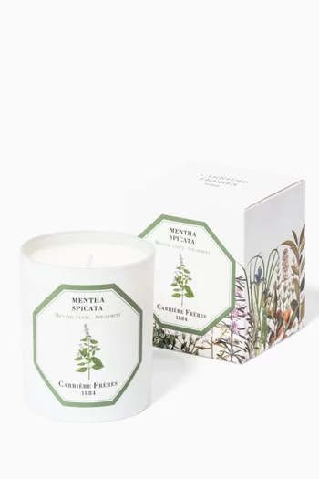 شمعة معطرة مينثا سبيكاتا، 185 غرام
