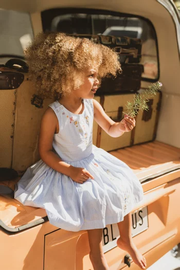 Songbird Stripe Embroidered Dress in Cotton