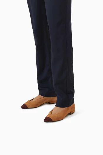 Rebecca Ballet Flats in Suede