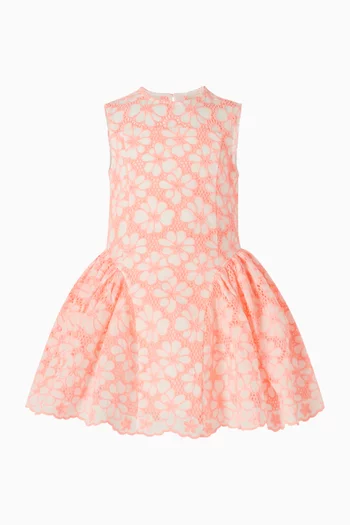 Holly Embroidered Mini Dress