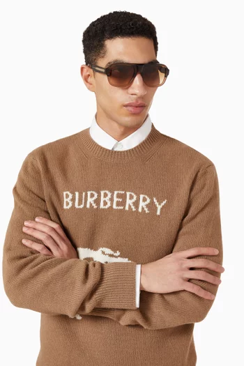 نظارة شمسية بإطار أفياتور أسيتات