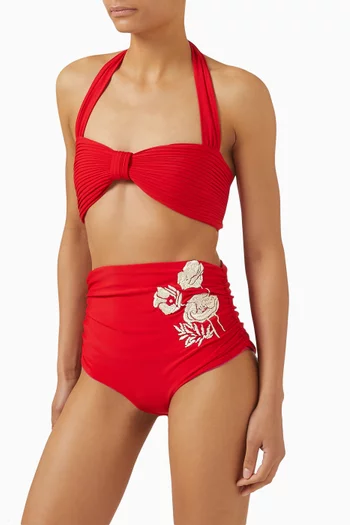 Victoria Bikini Briefs