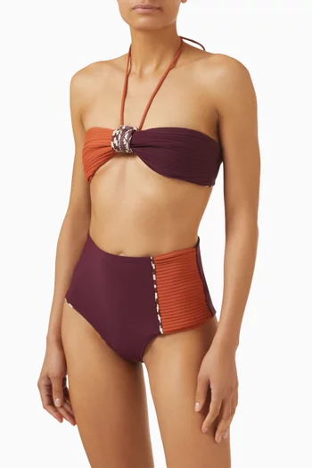 Frida Vintage Bikini Briefs