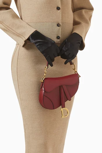 Mini Saddle Satchel Bag in Calf Leather