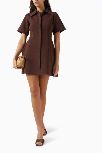 Sorrel Shirt Dress