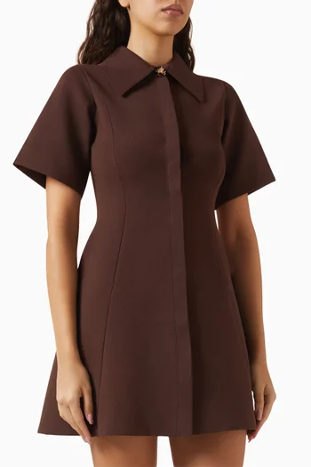 Sorrel Shirt Dress