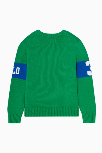 Graphic Logo Sweater in Knit