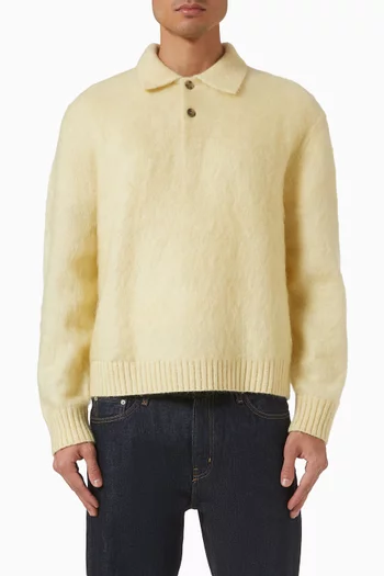 Brushed Polo Sweater in  Mohair-blend