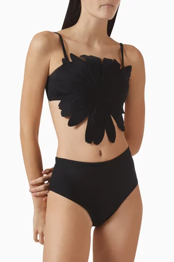 High-waist Bikini Briefs in Stretch Nylon