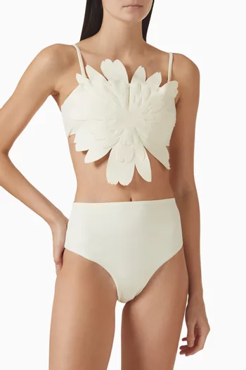 Maxi Margarita Bikini Top in Stretch Nylon