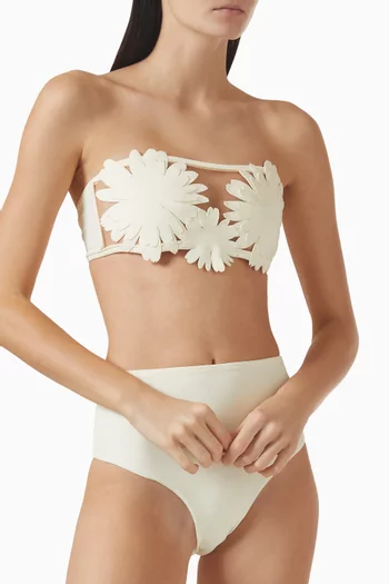 High-waist Bikini Briefs in Stretch Nylon