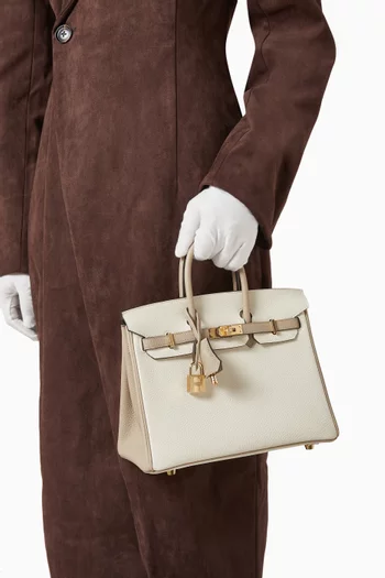 Birkin 25 Bag in Togo Leather