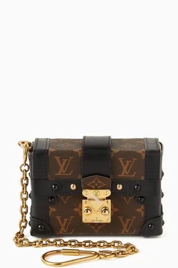 Petite Malle in Monogram Canvas