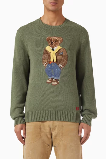 Polo Bear Sweater in Cotton