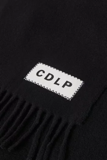 Fringed Scarf in Wool