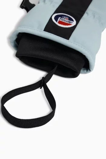 Color Blocked Polar II Ski Gloves