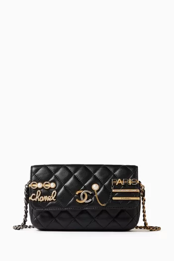CC Wallet on Chain in Quilted Lambskin