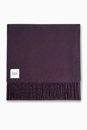 Fringed Scarf in Wool