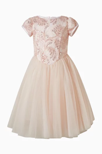 Embroidered Lace Tutu Dress