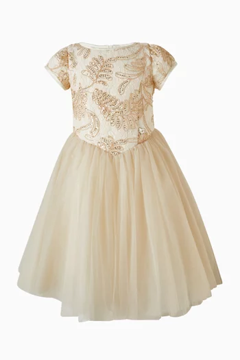 Embroidered Lace Tutu Dress