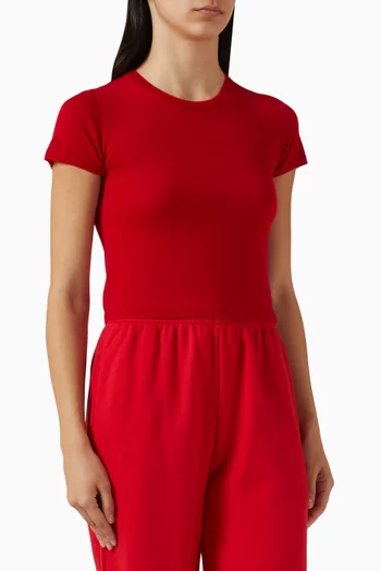 Van Crop Top in Cashmere