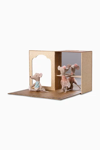 Ballet Mice in a Dance Studio