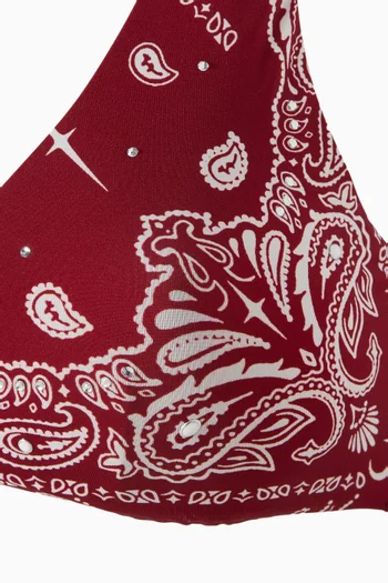 Printed Brazilian Bikini Set