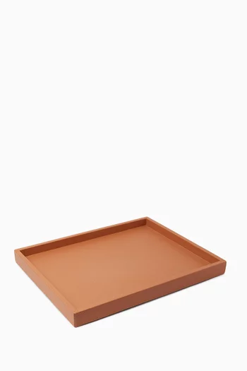 Medium Osvaldo Tray in Leather