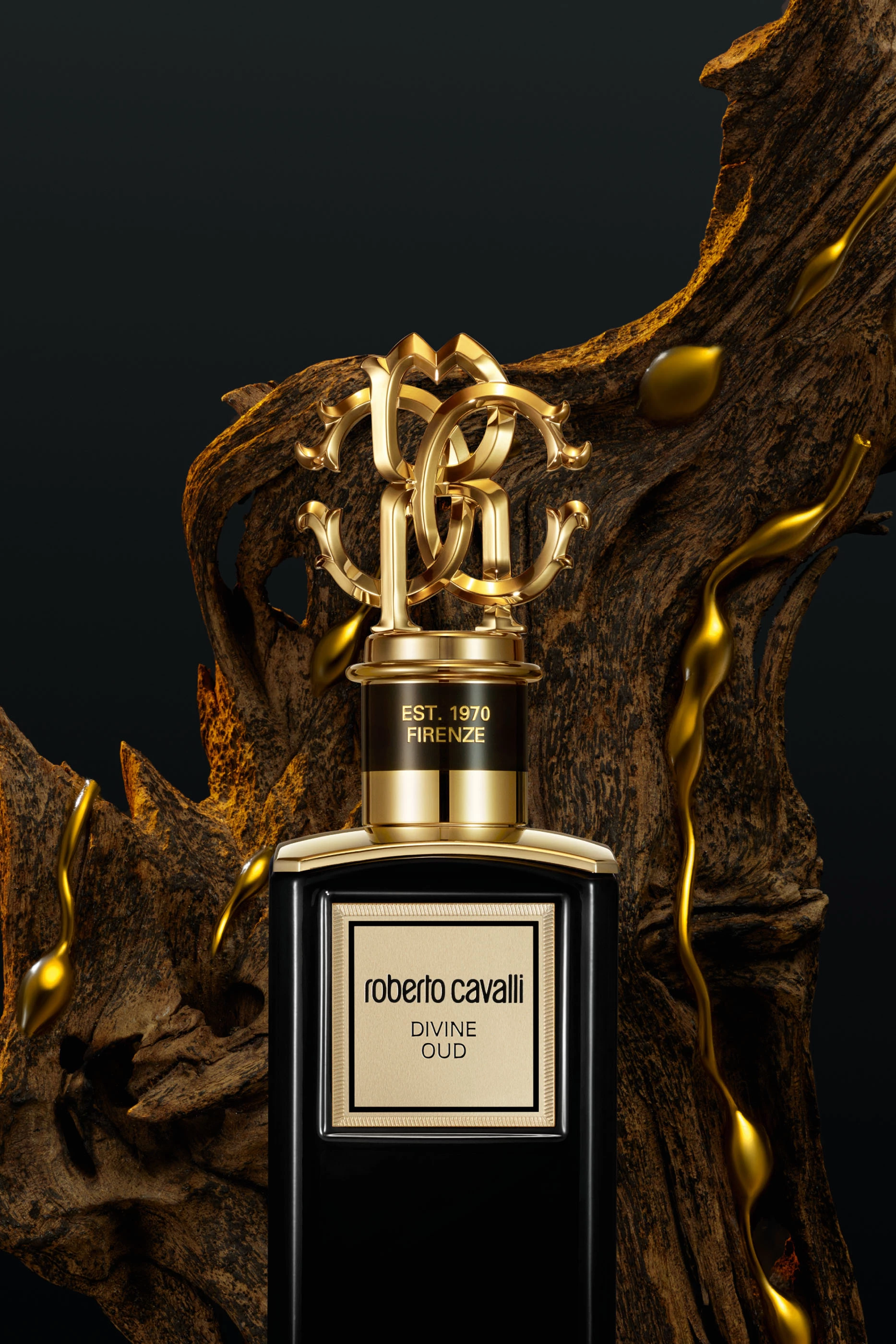 Roberto cavalli divine oud perfume clearance