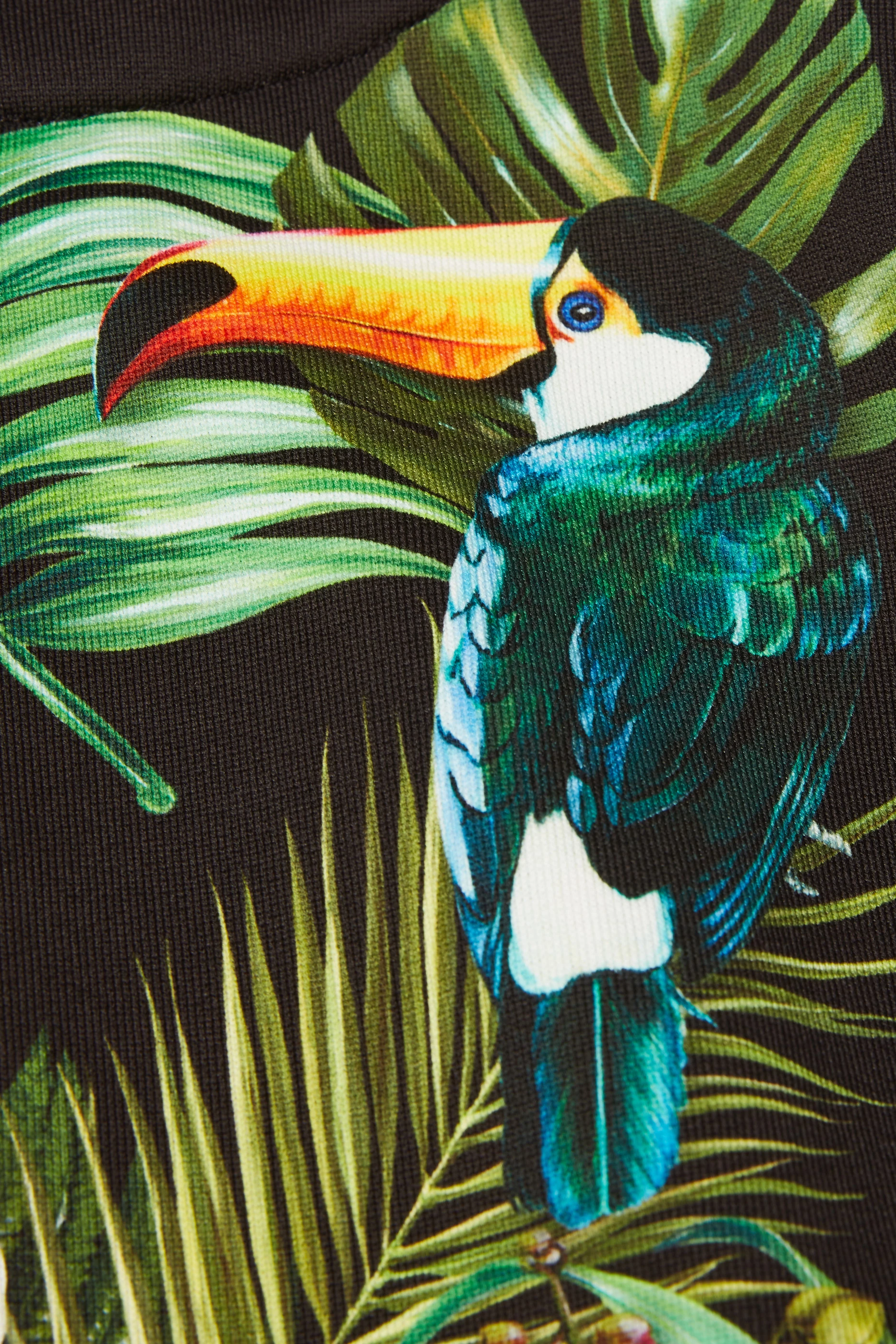 Dolce gabbana jungle print on sale