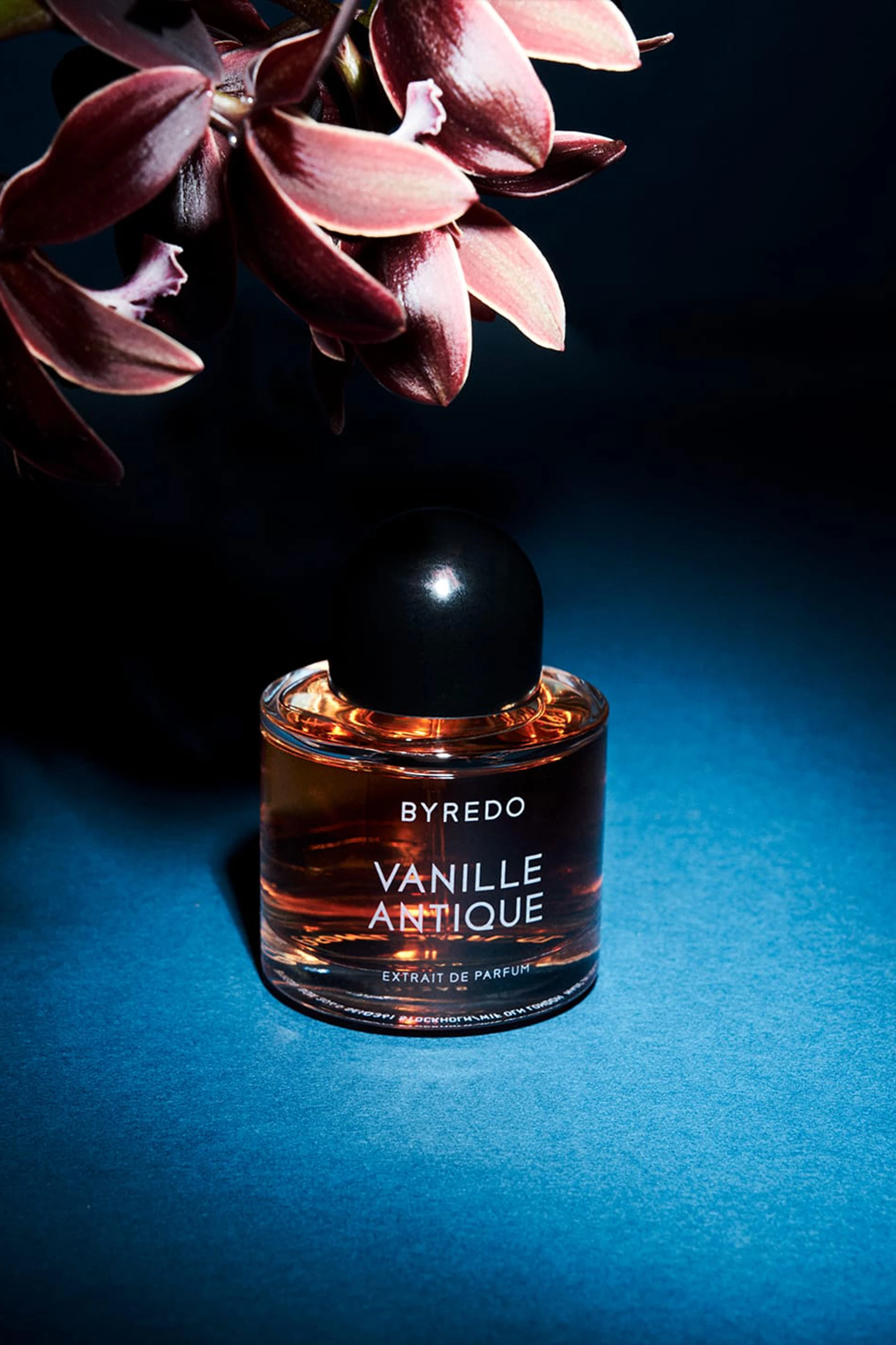 Buy BYREDO Vanille Antique Extrait de Parfum, 50ml For UNISEX