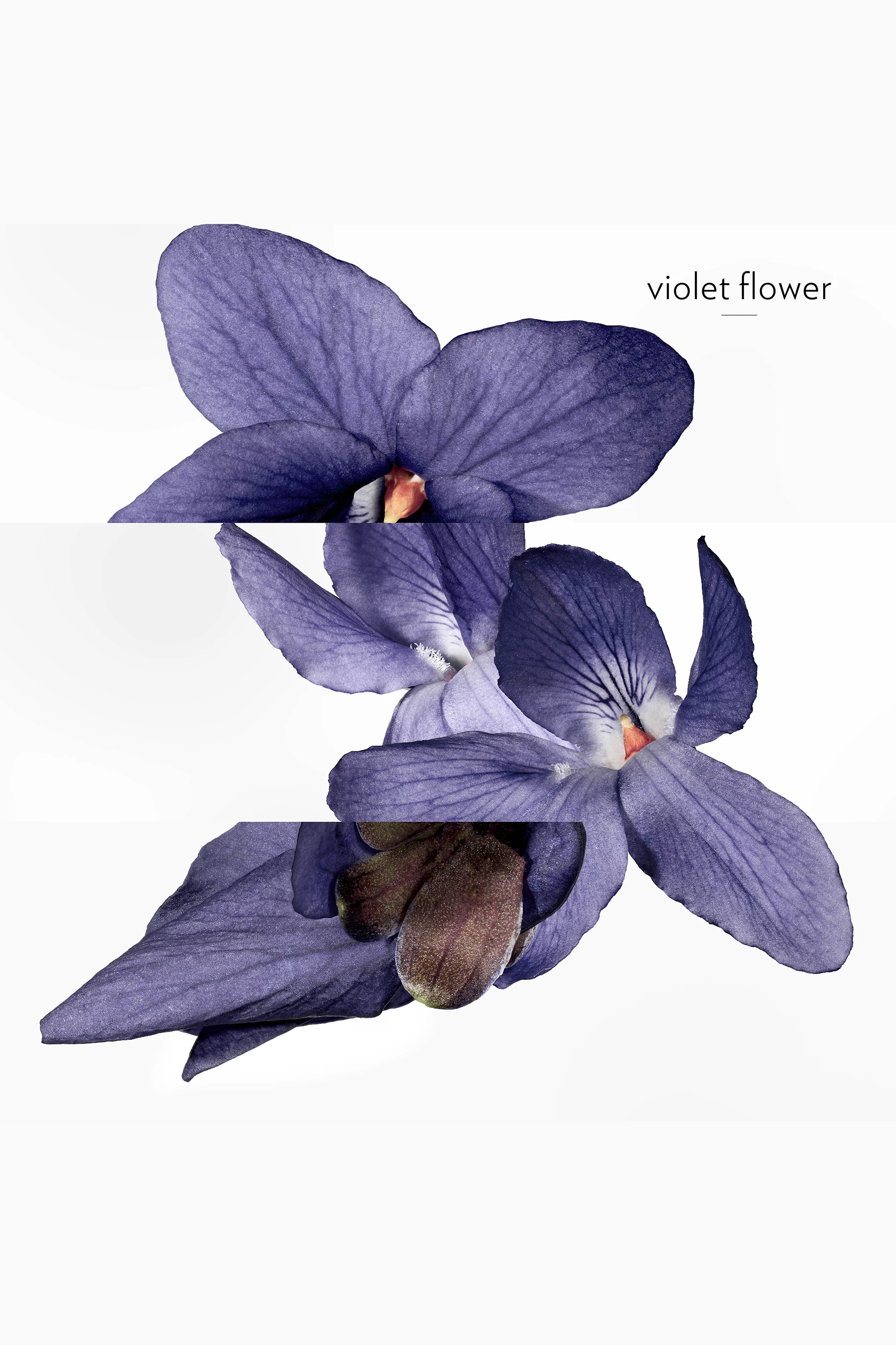 Buy HERMES Colourless Violette Volynka Eau de Toilette 200ml For UNISEX Online Ounass Bahrain