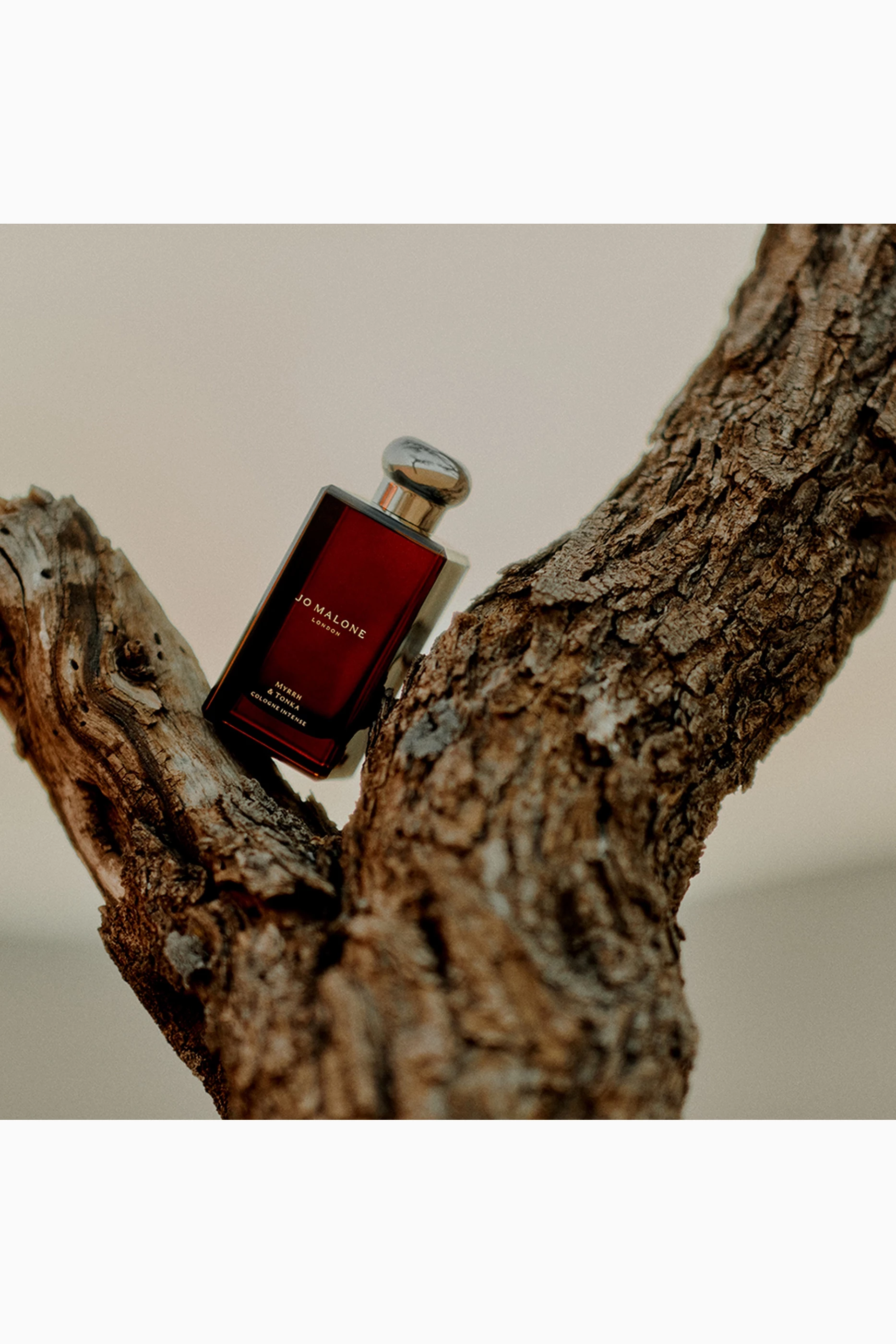 Buy Jo Malone London Myrrh & Tonka Eau de Parfum Intense