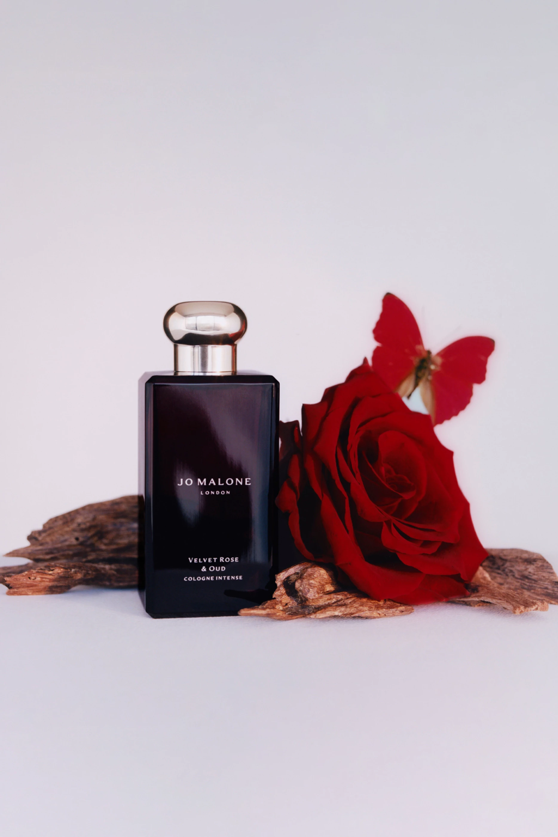 Amazon.com : Jo Malone Velvet Rose & Oud Cologne Intense