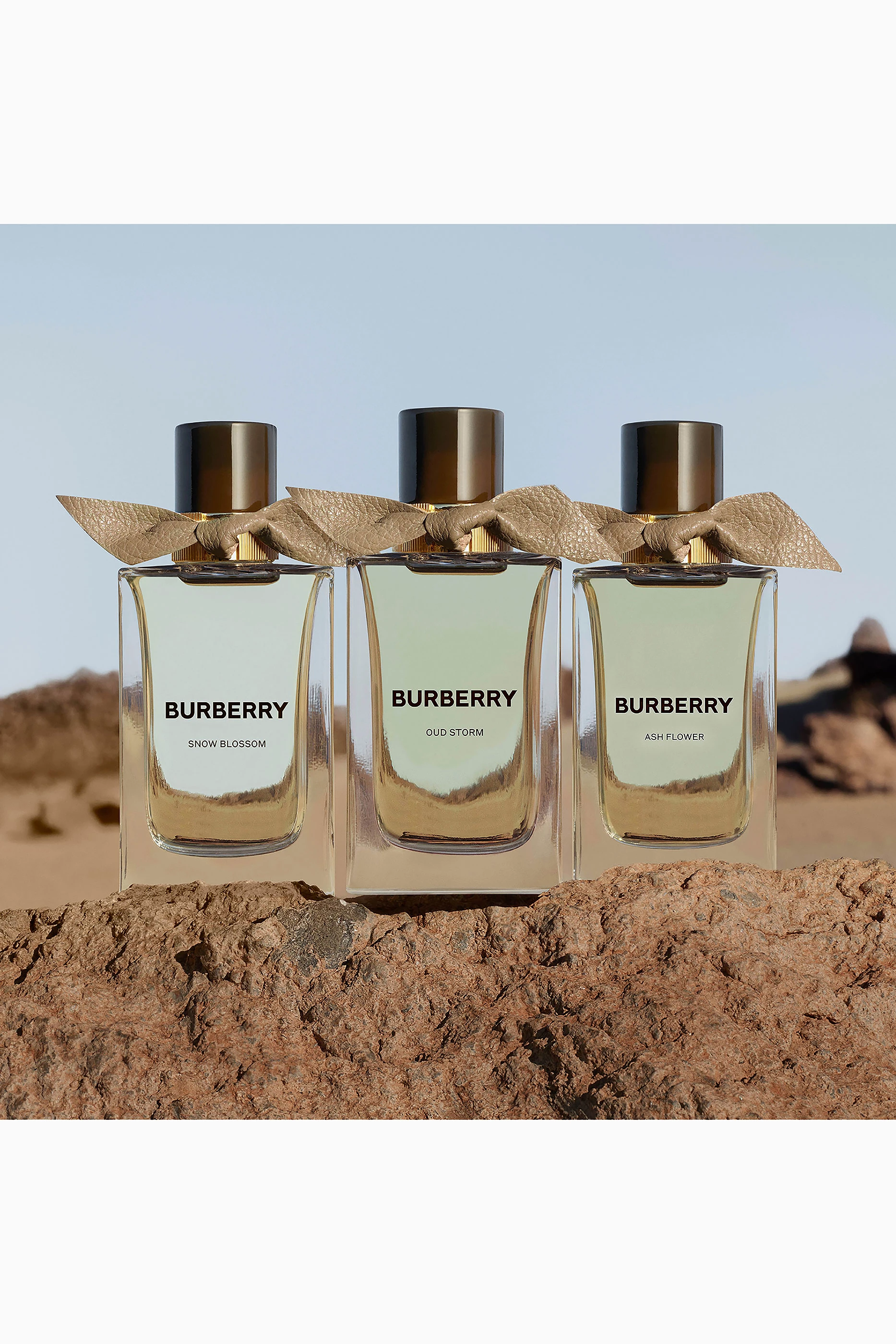 Buy Burberry Beauty Extreme Botanicals Oud Storm Eau de Parfum