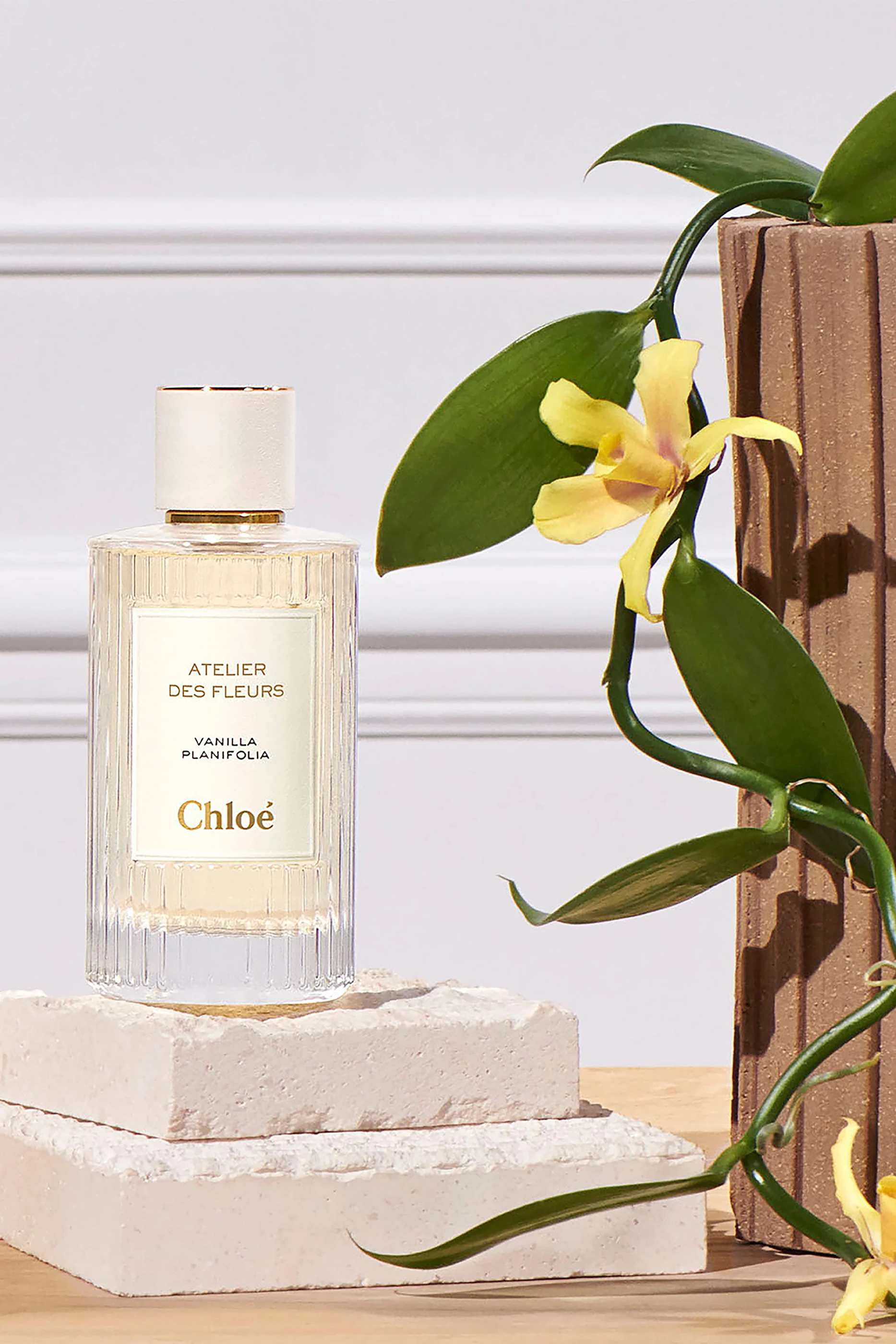 Buy Chloé Perfumes Atelier des Fleurs Vanilla Planifolia Eau de