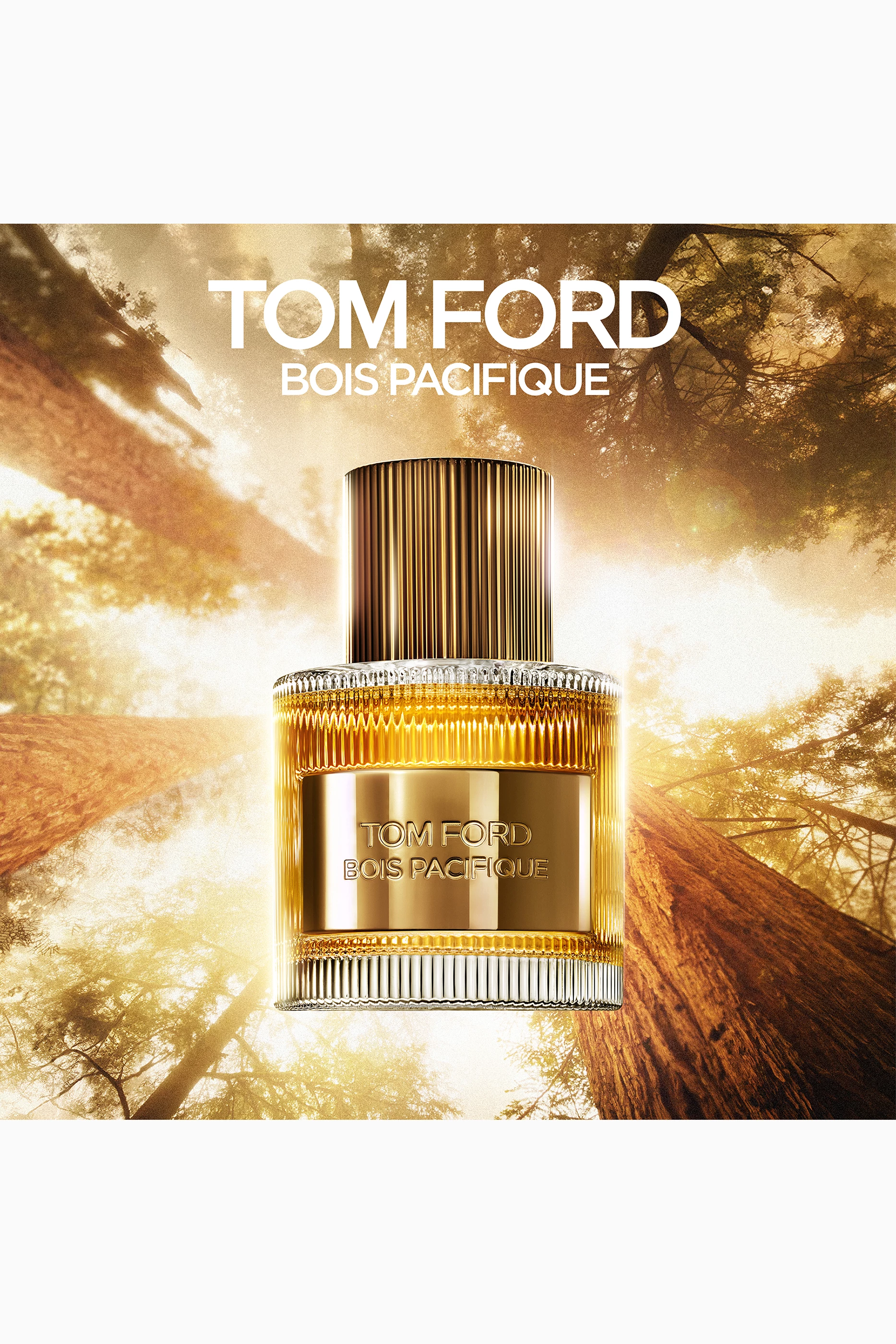 TOM FORD BOIS PACIFIQUE 50ml